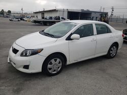 Toyota Corolla Base salvage cars for sale: 2009 Toyota Corolla Base