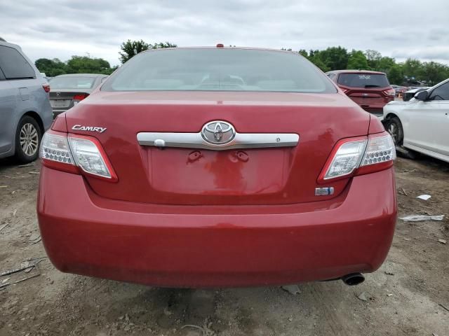 2010 Toyota Camry Hybrid