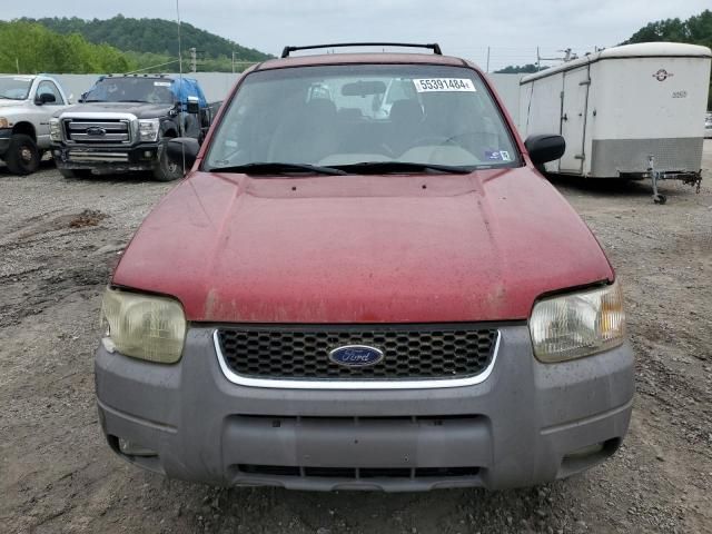 2001 Ford Escape XLT