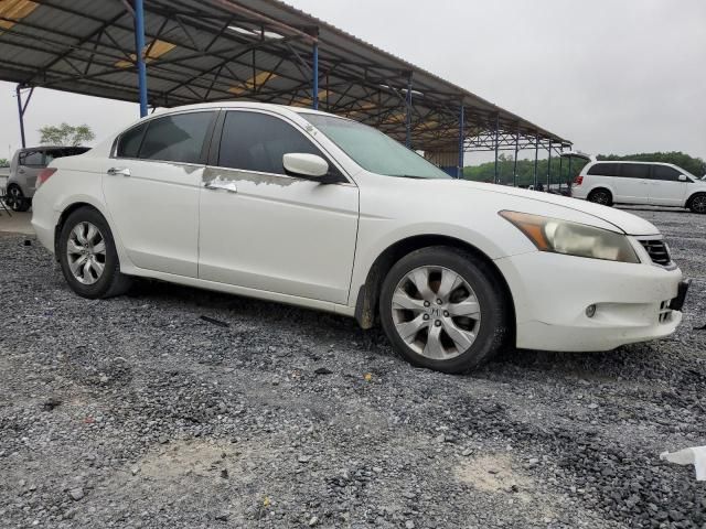 2010 Honda Accord EXL