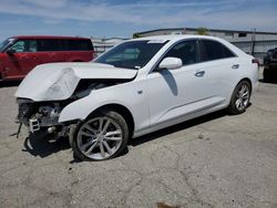 Cadillac CT4 salvage cars for sale: 2021 Cadillac CT4 Luxury
