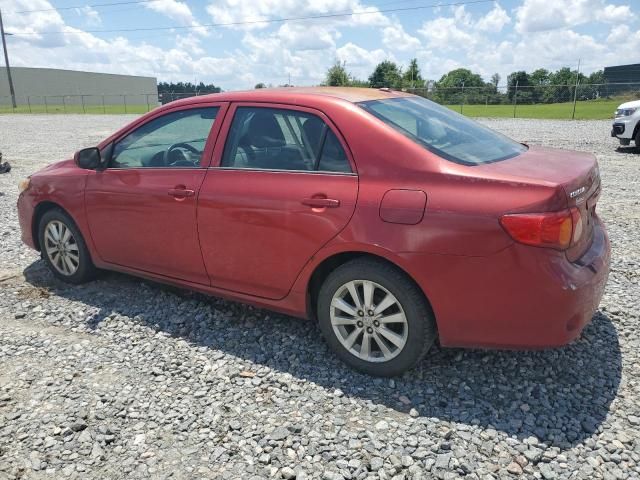 2010 Toyota Corolla Base