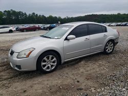 Nissan salvage cars for sale: 2007 Nissan Maxima SE