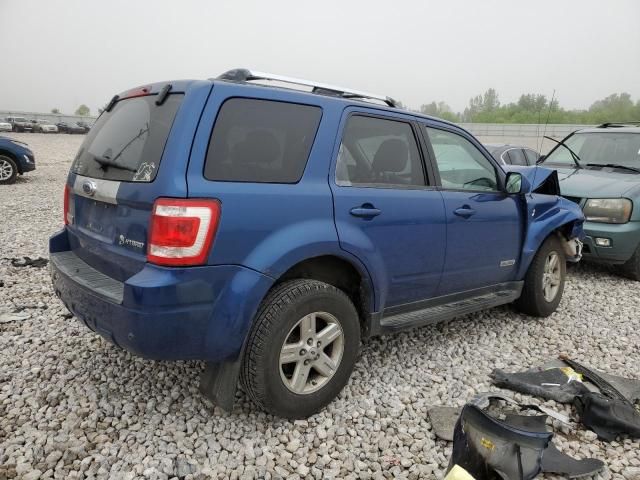 2008 Ford Escape HEV