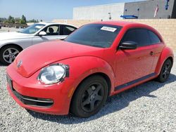 Volkswagen Beetle salvage cars for sale: 2014 Volkswagen Beetle