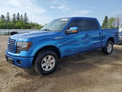 Salvage cars for sale from Copart Bowmanville, ON: 2011 Ford F150 Supercrew