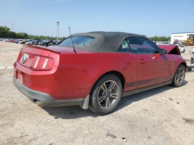 2010 Ford Mustang