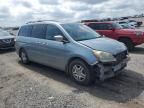 2005 Honda Odyssey EXL