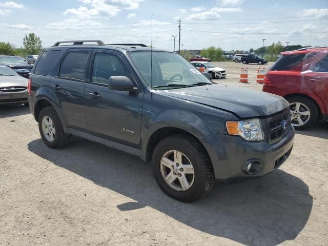 2009 Ford Escape Hybrid