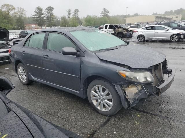 2009 Toyota Corolla Base