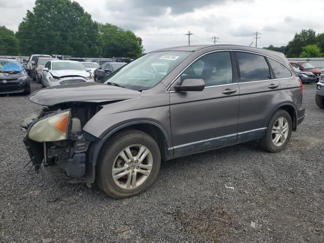 2010 Honda CR-V EXL