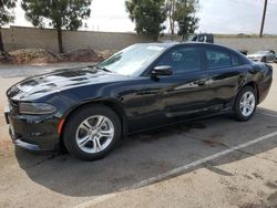 Dodge Charger sxt Vehiculos salvage en venta: 2022 Dodge Charger SXT