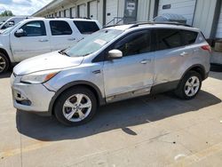 2013 Ford Escape SE for sale in Louisville, KY