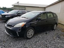 Toyota Prius V salvage cars for sale: 2013 Toyota Prius V