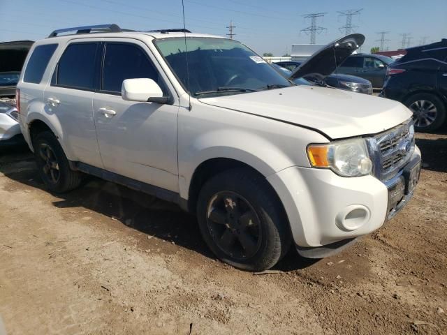 2010 Ford Escape Limited