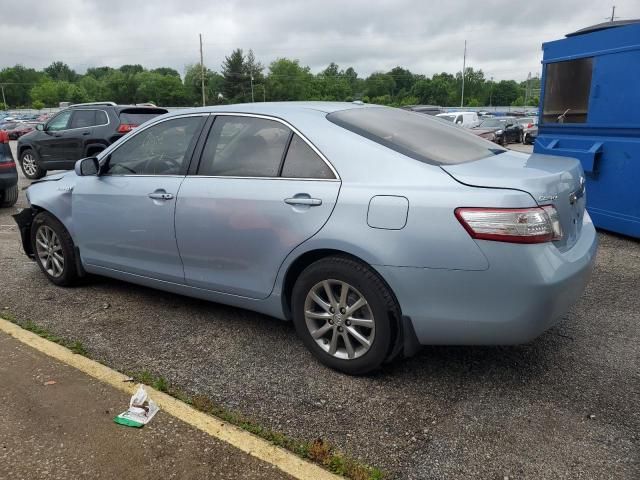 2010 Toyota Camry Hybrid