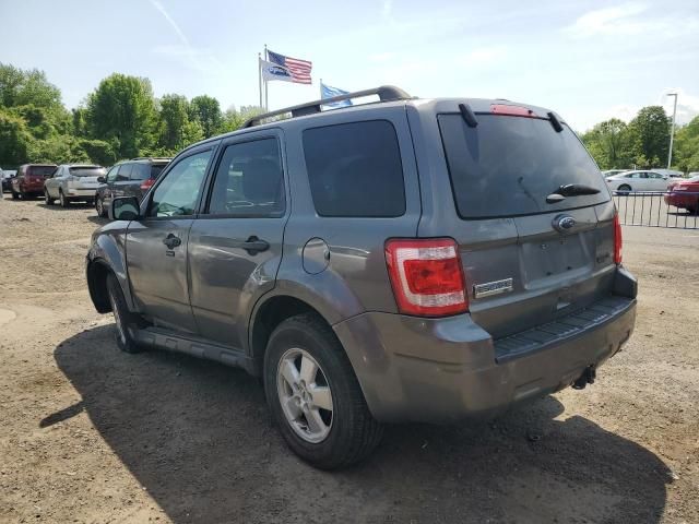 2011 Ford Escape XLT