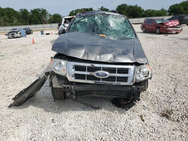 2012 Ford Escape XLT