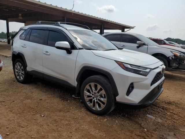 2024 Toyota Rav4 XLE Premium