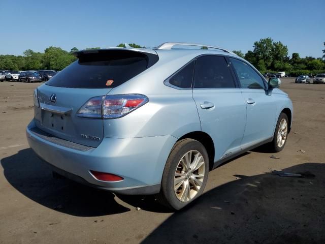 2010 Lexus RX 450