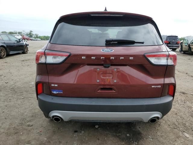 2021 Ford Escape SE