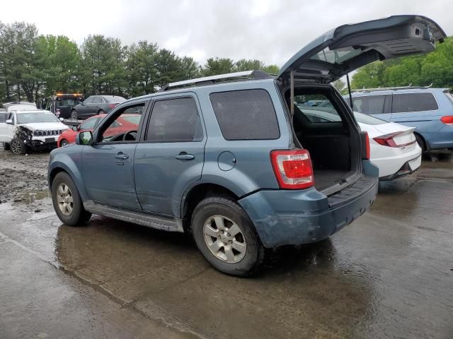 2010 Ford Escape Limited