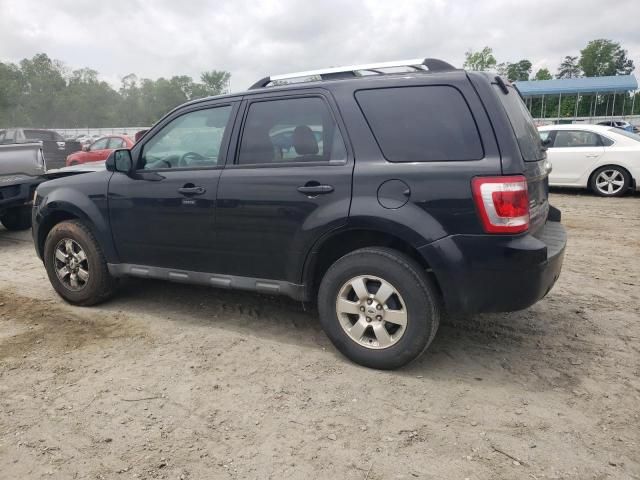 2011 Ford Escape Limited