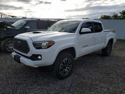 Salvage cars for sale from Copart Central Square, NY: 2021 Toyota Tacoma Double Cab