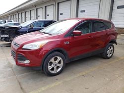 2013 Ford Escape SE for sale in Louisville, KY