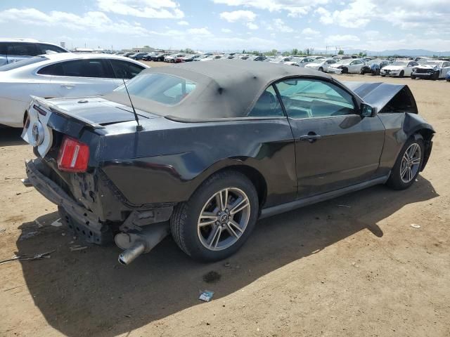 2010 Ford Mustang