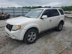 Ford Vehiculos salvage en venta: 2011 Ford Escape Limited