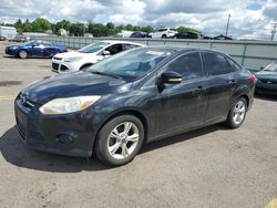 2013 Ford Focus SE for sale in Pennsburg, PA