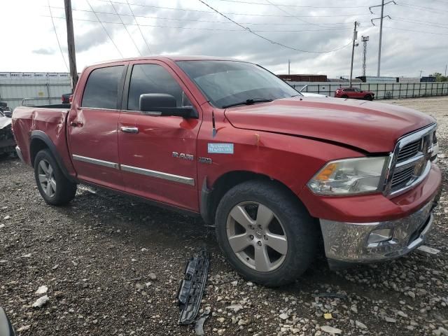 2010 Dodge RAM 1500