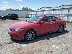 Honda Accord salvage cars for sale: 2013 Honda Accord EXL