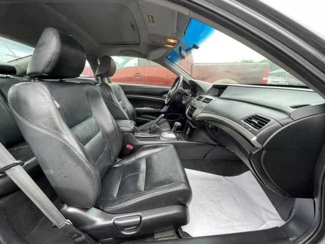 2011 Honda Accord EXL