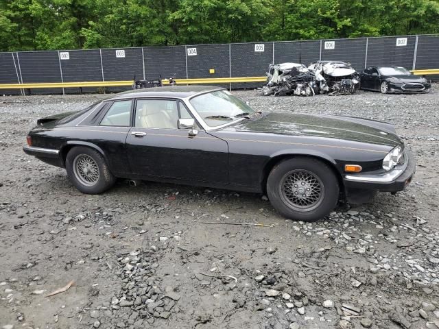 1989 Jaguar XJS Collection Rouge