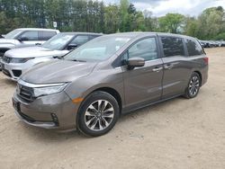 2022 Honda Odyssey EXL en venta en North Billerica, MA