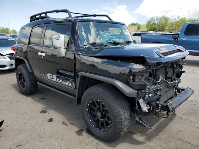 2013 Toyota FJ Cruiser