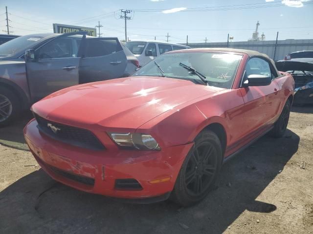 2010 Ford Mustang