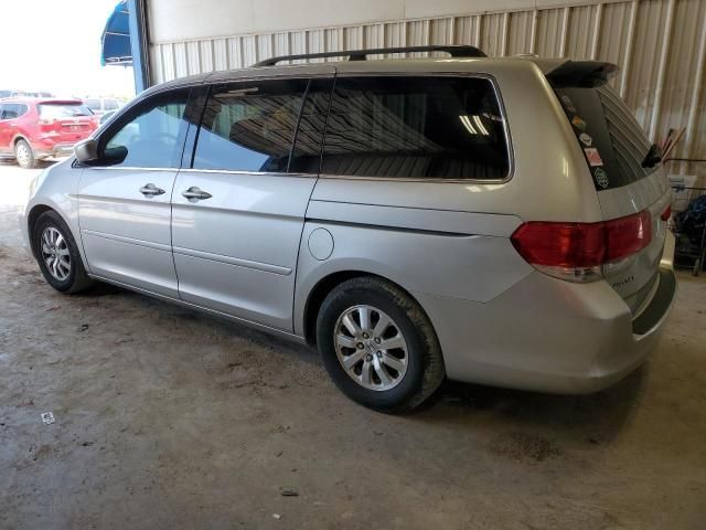 2008 Honda Odyssey EXL