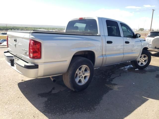 2011 Dodge Dakota SLT