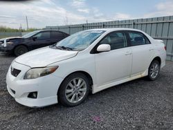 Salvage cars for sale from Copart Ontario Auction, ON: 2009 Toyota Corolla Base