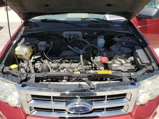 2008 Ford Escape XLT