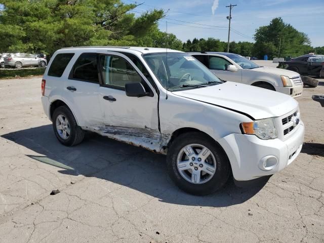 2011 Ford Escape Hybrid