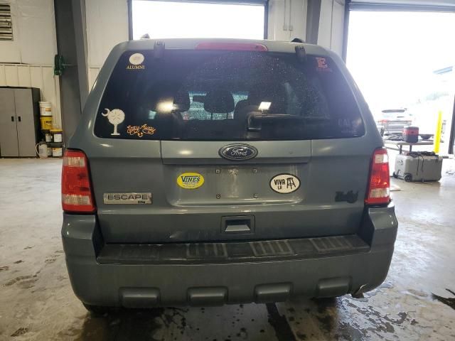 2010 Ford Escape XLT