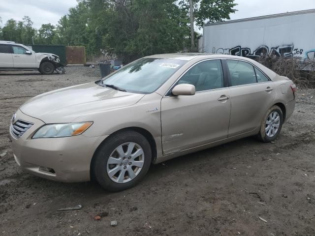 2008 Toyota Camry Hybrid