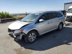 2014 Honda Odyssey EXL for sale in Albuquerque, NM
