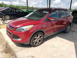 Ford Escape salvage cars for sale: 2014 Ford Escape Titanium