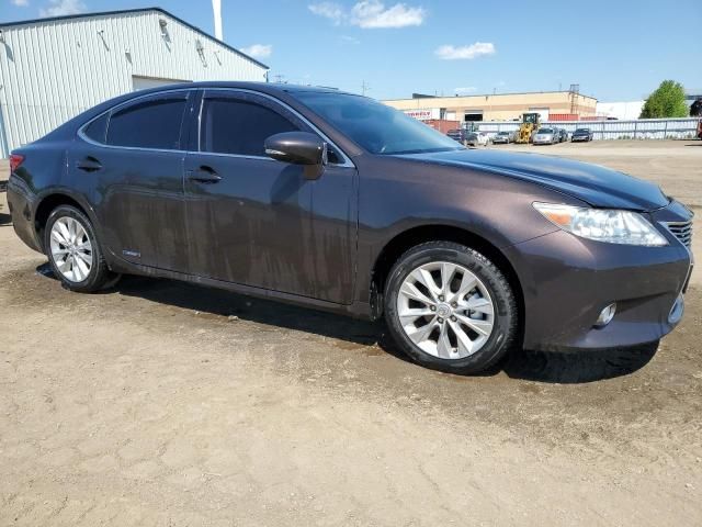 2013 Lexus ES 300H