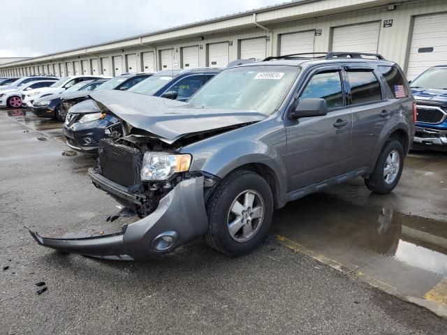 2012 Ford Escape XLT